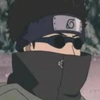 Aburame Shino./lớn hơn Shikamaru 1tuổi