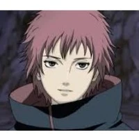 Sasori. •| hội trưởng hội hs |•
