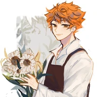 hinata shoyo