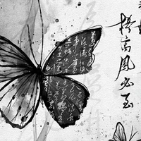 tác giả - tôi