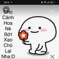 chấp mọi loại vai