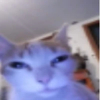 Gruu