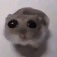 tac gia cuteo