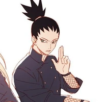 Nara Shikadai
