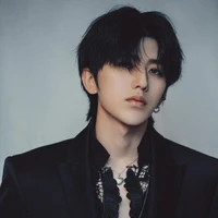 Trần việt hoàng