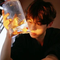 s᥆ᥒg ᥒgᥙ̛/@⍴іsᥣᥙ᥎