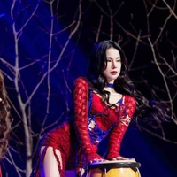 Diệp Lâm Anh(cô)