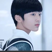 Lưu Chí Hoành ( Papa các anh )