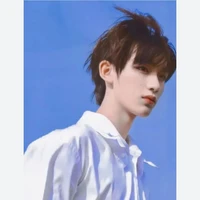 Trình Hâm (anh)