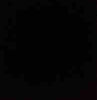 Nguyên hồn đặc cấp