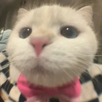 Tác giả《Hako》