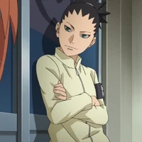 nara shikada