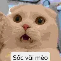 Tui và cháu