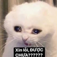 Hiha au