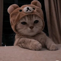 Tác giả ve ko sầu