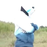 sans băng