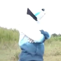 sans băng