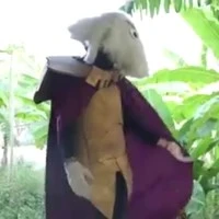ông dê Asgore