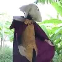 ông dê Asgore