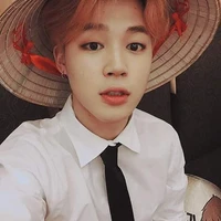 Phác Chí Mẫn