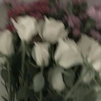 Đa nhân vật nữ