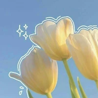 tớ là tác giả🌷