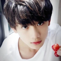 Đinh Trình Hâm lúc nhỏ