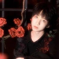 Dương Bác Văn (Văn)