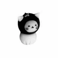 Meo