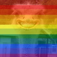 Ơ Cường, vợ anh đâu?