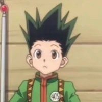 Gon Freeces