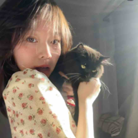 Hải Vy