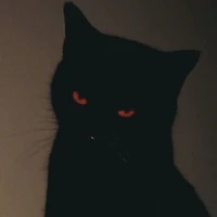 T/g ổn lòi lìa