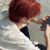 Đình Sư Tử (A) - Leo