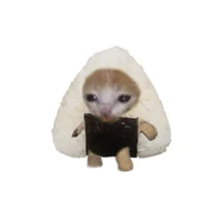 °cacao° (tác giả)