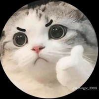 Anyie