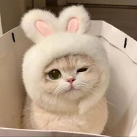 Tác giả
