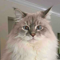 HH hye kyo ( mẹ n9)