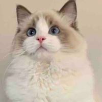 HT dong wook(anh n9)