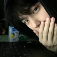 Đức Việt_vịt
