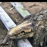 scp 682