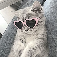 TT(tác giả)