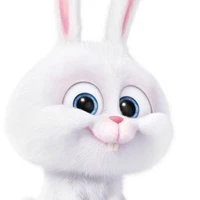 Rabbit-Hệ thống tái sinh