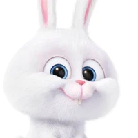 Rabbit-Hệ thống tái sinh