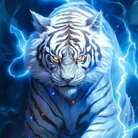 Bạch Hổ(Mèo Con)