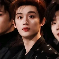 Đinh Trình Hâm(em)