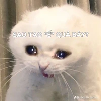 Tác giả