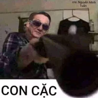 All (ảnh meme nyc gửi)