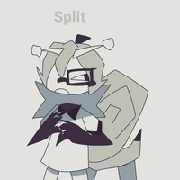 split