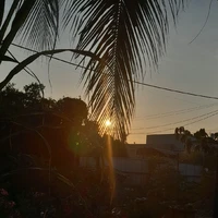Trương Tửu Dương